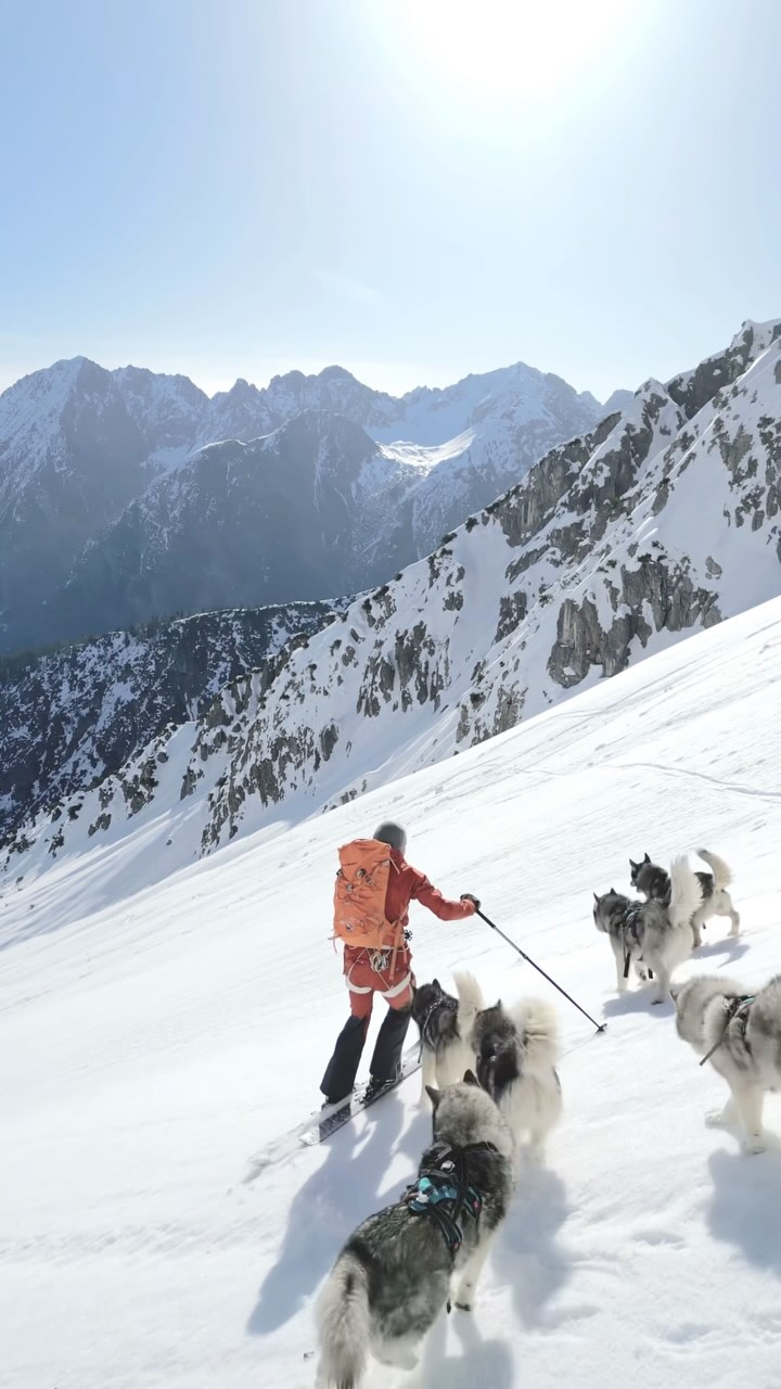 training my intuition when skiing with my pack is getting most effective during spring 🌼 🏔️
.
On frozen snow ❄️ or little slush they sometimes like to go really fast 🚀.
.
Sometimes it is important to slow down by more or less drifting ⛷️ letting them go behind.
.
And sometimes, when conditions are ready and safe going ❄️🐾 we let go.
.
It needs speed plus an overview where they are going 🐾 and how fast they are willing to. 
.
Experience your instincts 🐺, and color 🌈 your mind.
. 
🔗 mountainhusky.com 
.
🐺 🏔️🎦 @basecamp_gramais @hubslindner 
#bergschulelechtal #huskymountaineering 
.
powered by 
🔥 @kreatur.work 
🔥 @hagan_ski 
🔥 @zaniergloves 
🔥 @pokusa_for_health_de 
🔥 @sledwork.de 
🔥 @scarpa_at 
🔥 @scarpa_world 
🔥 @benglerwald_berg_chaletdorf 
🔥 @tri_hannes 
.
#noplacetoofar 
#pureskimountaineering 
#mymountainpassion