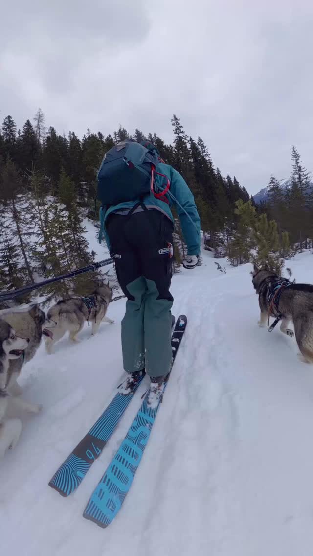very best conditions for this homerun ⛷️🐾 
through the woods 
.
Experience your instincts 🐺
color 🌈 your mind.
. 
🔗 mountainhusky.com 
.
🐺🏔️🎦 @basecamp_gramais @hubslindner 
#bergschulelechtal #huskymountaineering 
.
powered by 
🔥 @cloudy.hinterstein
🔥 @hagan_ski @hagan_ski 
🔥 @zaniergloves 
🔥 @pokusa_for_health_de 
🔥 @sledwork.de 
🔥 @benglerwald_berg_chaletdorf 
🔥 @hotellaerchenhoflermoos 
.
#pureskimountaineering 
#mymountainpassion 
#mountainhusky