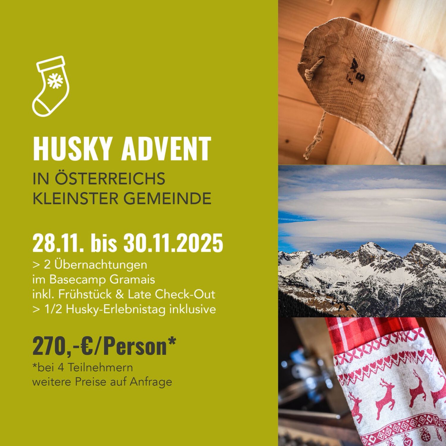 Husky Advent – Bild 4