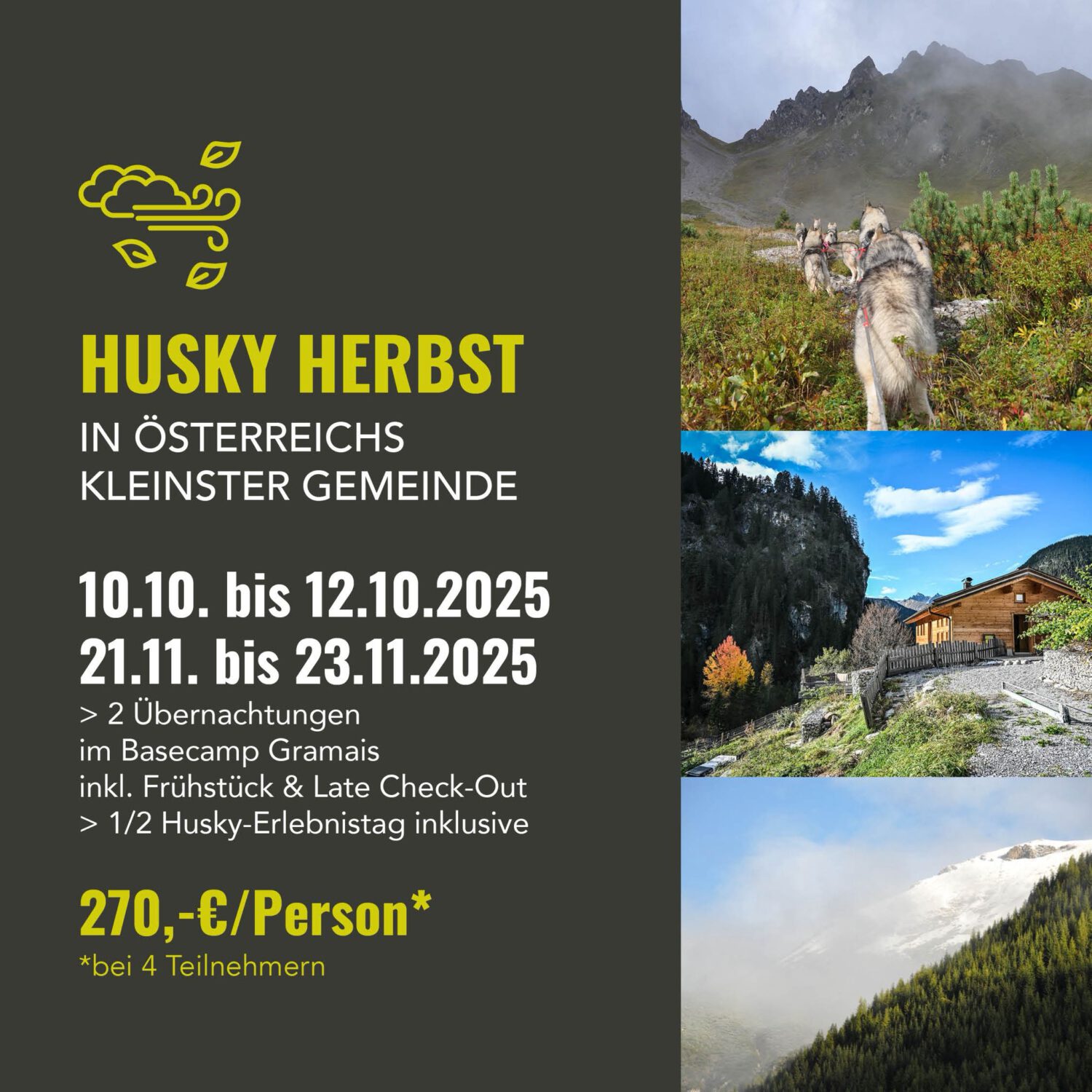 Husky Herbst – Bild 4