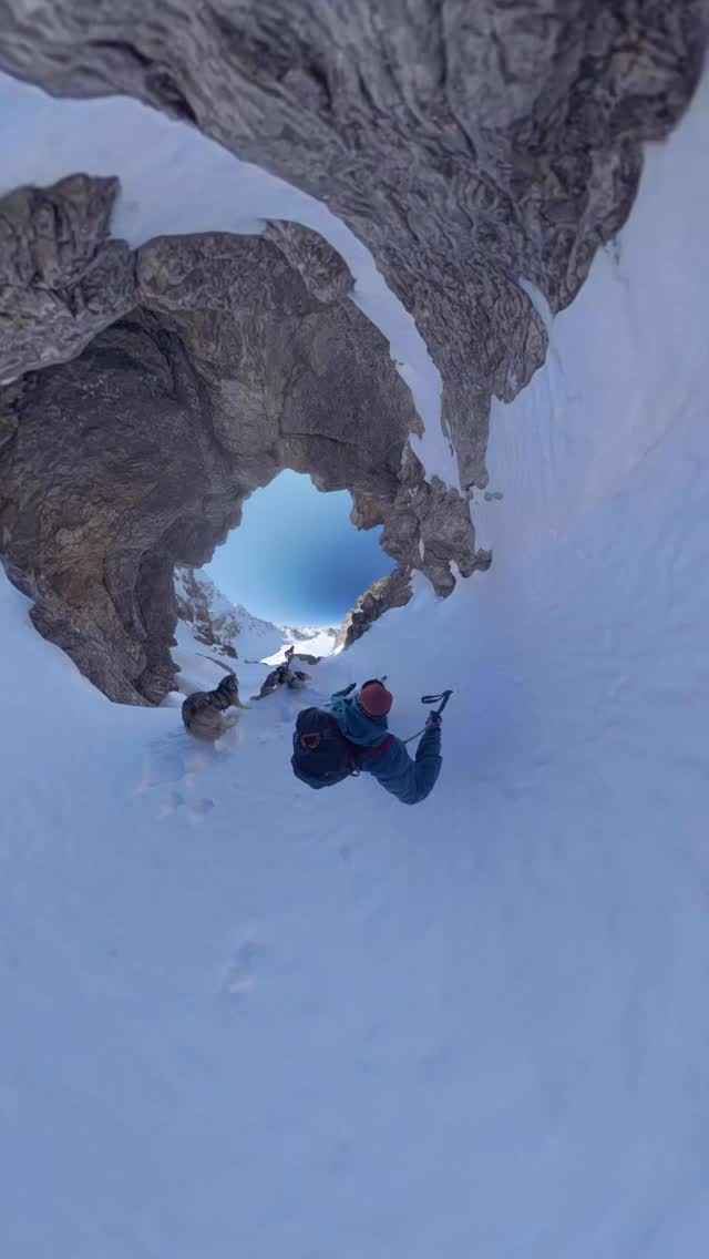 Friday, March 13 🍀
One of more than thousand runs a season 🐾⛷️
A Lucky Day: 360° View is new on our account.
.
When a few days of calm settle in during the middle of our winter season and I can be out on the trail alone with my Siberians, the tension that has built up over the past weeks of guiding guests and working with the camera starts to fade away.
.
A day without leash 💫
.
And yet it follows the routine I cherish most: 
.
⛷️🐺 we always stay together, because we share the same feeling for why we do this. 
.
Discipline makes freedom ♥️
.
Experience your instincts 🐺
color 🌈 your mind.
.
🐺🏔️🎦 @basecamp_gramais @hubslindner 
#bergschulelechtal #huskymountaineering 
.
powered by 
🔥 @cloudy.hinterstein 
🔥 @hagan_ski @hagan_ski_usa 
🔥 @zaniergloves 
🔥 @pokusa_for_health_de 
🔥 @sledwork.de 
🔥 @benglerwald_berg_chaletdorf 
🔥 @hotellaerchenhoflermoos 
🔥 @tri_hannes 
.
#pureskimountaineering 
#mymountainpassion 
mountainhusky